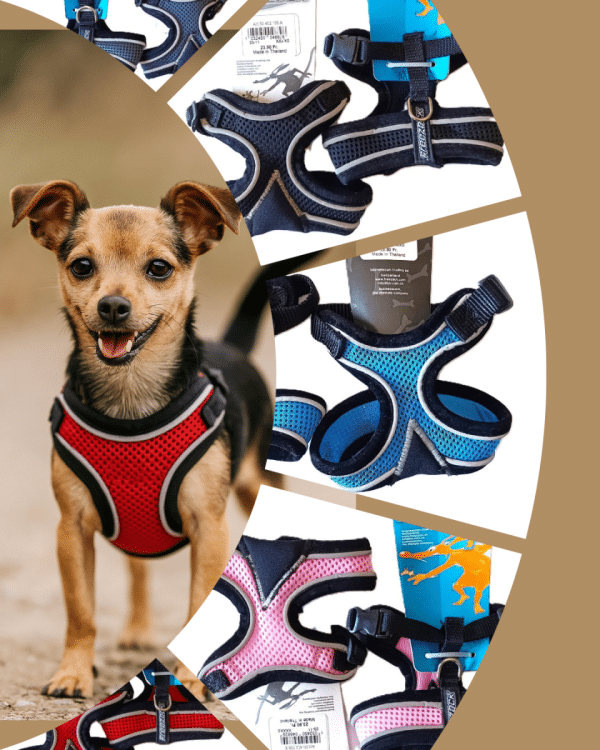 Arneses para perros mini