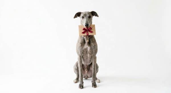 REGALO SOLIDARIO: felicita salvando vidas